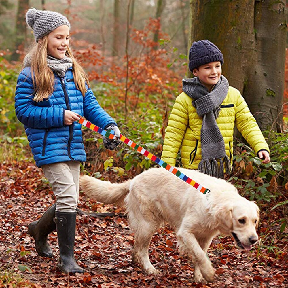 Hondenriem, kleurrijke gestreepte basis hondenriem, halsband voor honden, puppytouw, hondentuigje, chihuahua, kattenriem, huisdieraccessoires  lx0002