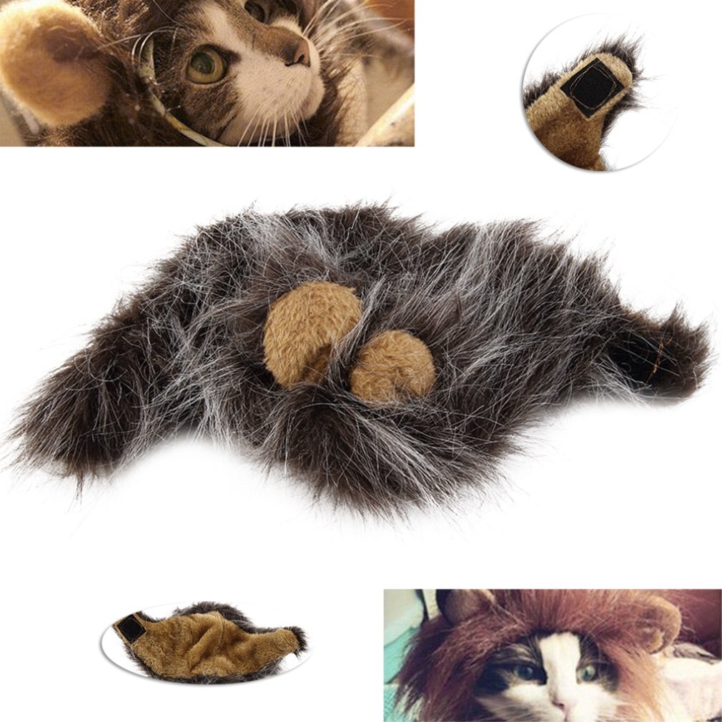 Déguisement avec oreilles pour chat, déguisement de fête d&#39;halloween et de noël