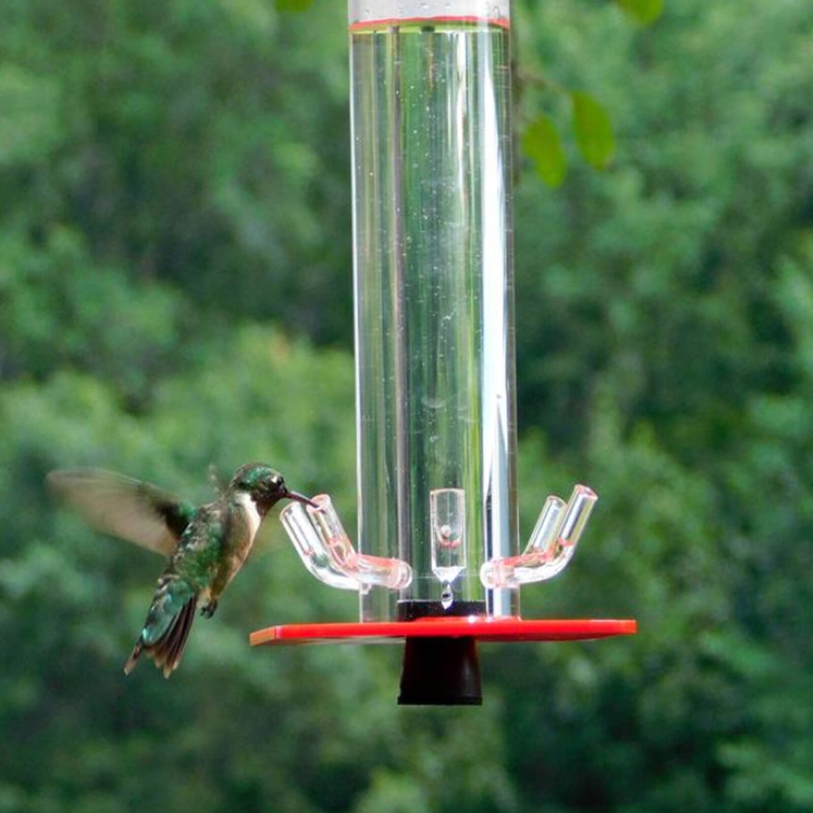 Hummingbird Feeder Hanging Outside, Hummingbird Feeding Station with Hanging Hook , 5 Feeding Ports for Outdoors