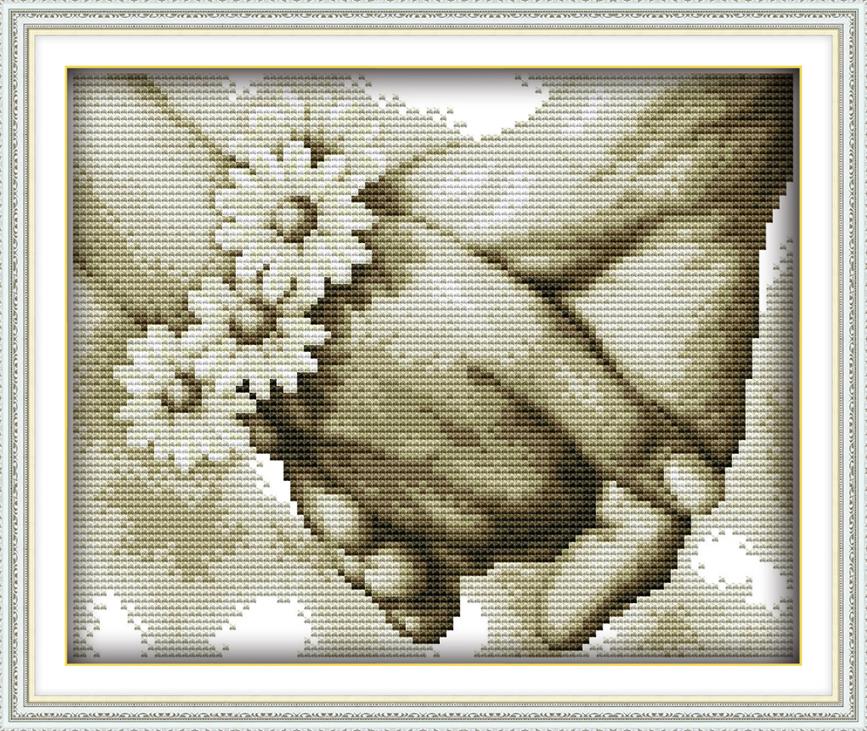 Handwerken DIY 14CT 11CT DMC kruissteek Sets Voor borduurpakketten Portret Telpatronen-Stikken Home Decoratie: R891 / 14CT counted product