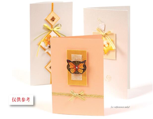Eno Greeting complete scrapbooking diy card kit for beginner kids craft diy card making kit 6 cards and 6 envelopes: SKC09