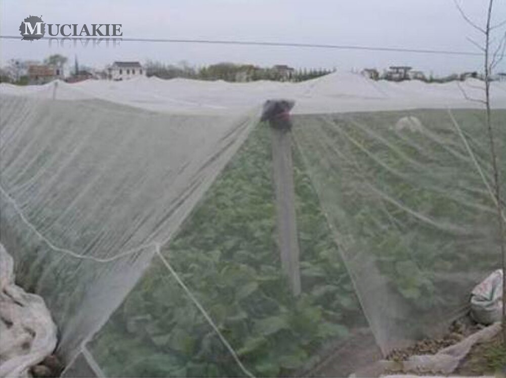 5m 40-100 mesh pe nylon netting nett skadedyrbekjempelse repeller grønnsaker frukt planter pleie deksel beskyttelse mygg skadedyr avvise nett