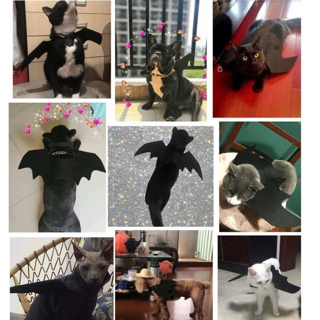 Alas de murciélago de estilo nórdico para decoración de mascotas, juguete de fieltro para Halloween, alas dobles