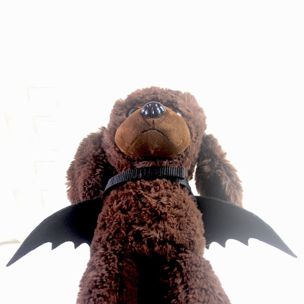 Animal de compagnie chien chat chauve-souris aile araignée Cosplay accessoire Halloween chauve-souris déguisement à capuche Costume tenue ailes belle décoration de noël vêtements