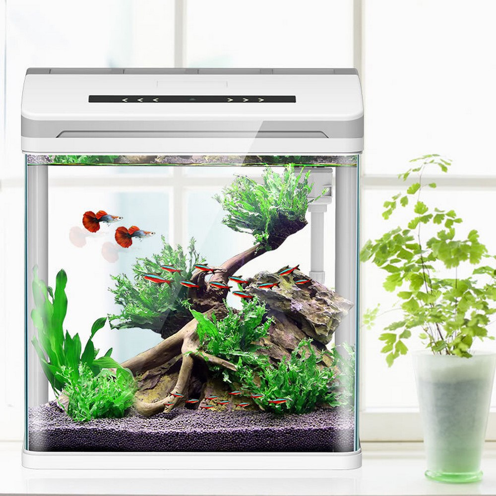 Smart Aquarium Betta Fish Mini Aquarium Fish Tank Home OfficeTea Table Decoration Glass Bring Lucky&fortune Feeding Box