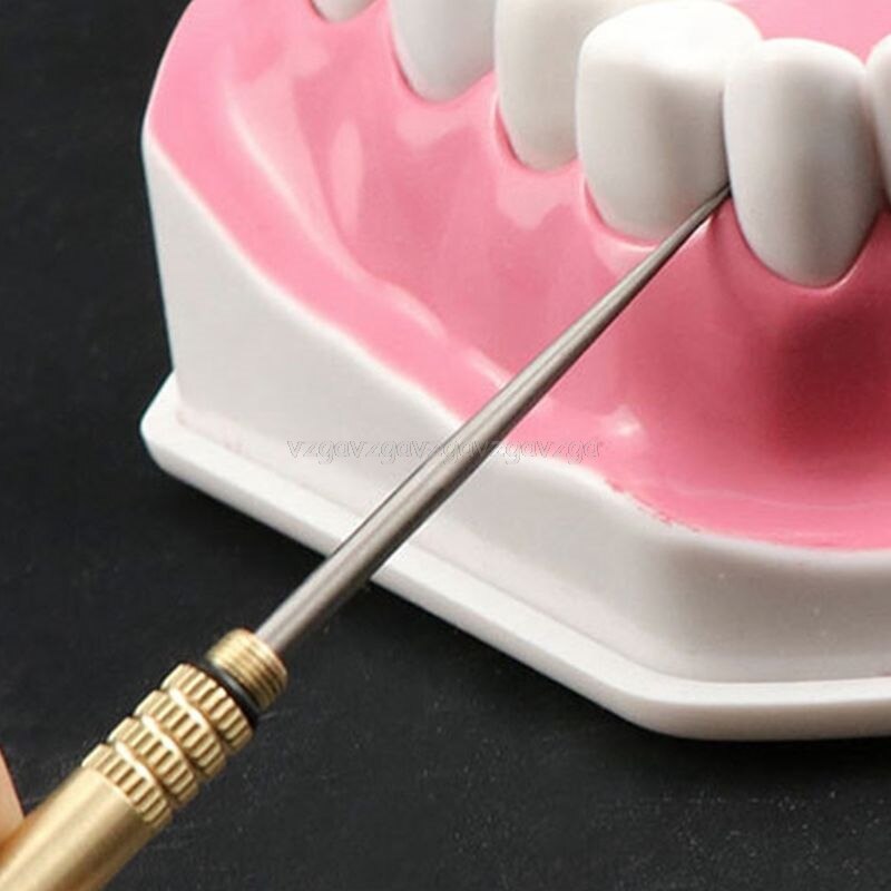 2 Stuks Pocket Titanium Magazijn Tandenstoker Houders Waterdicht Fruit Vork O30 19