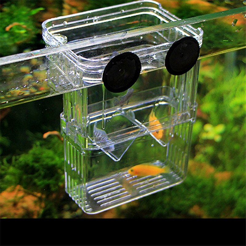 Acrylic Aquarium Breeder Box Breeding Incubator Small Fish Hatchery for Shrimp Clownfish Aggressive Fish Injured Fish