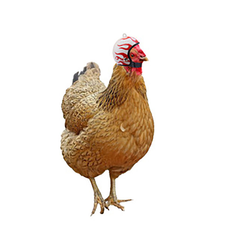 Huhn Helm Kappe Haustier Spielzeug Vogel Hühner Kleine Haustier Liefert Schutz Getriebe Sonne Regen Schutz Helm Kostümich Zubehör