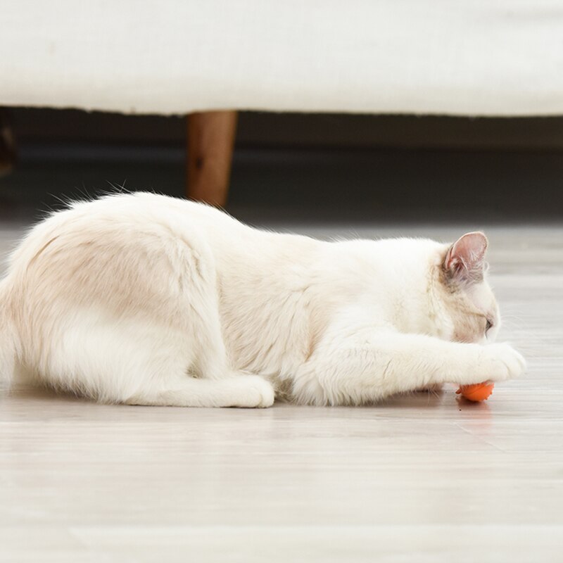Weiche Silikon Fisch Katze Spielzeug Katzenminze Haustier Spielzeug Saubere Zähne Zahnbürste Kauen Katzen Spielzeug Katze Hund Pflege Gatos Hund Zubehör hause