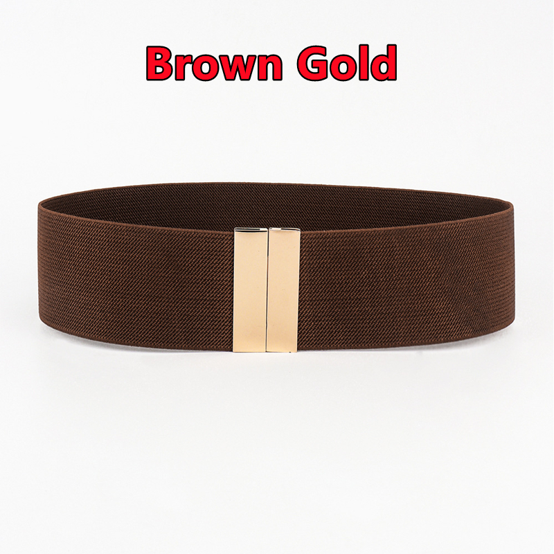 Cinturones anchos con banda elástica para mujer, cinturón sencillo para abrigo, hebilla femenina, correa negra, accesorios de decoración para vestido: Gris