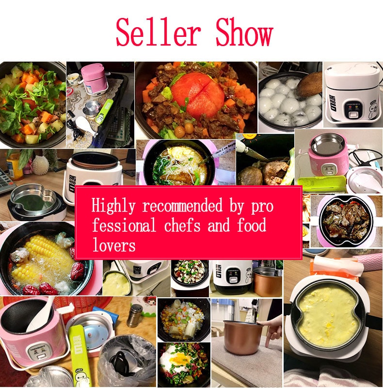 Mini olla eléctrica portátil para calentar arroz, vaporera para comida, olla multifunción para cocinar comida, fiambrera para 1-2 personas