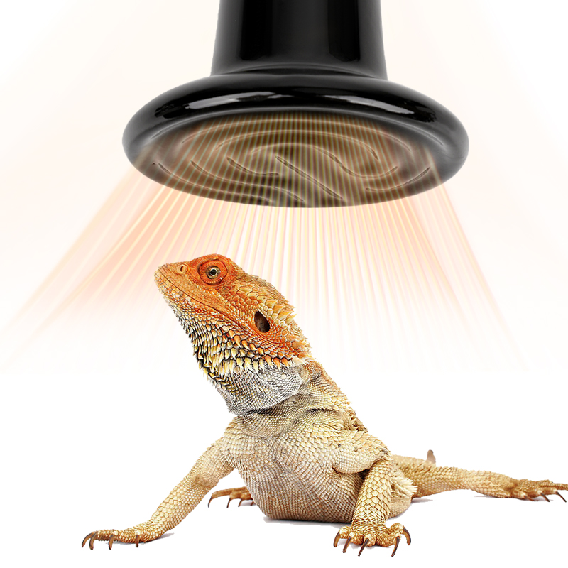 1 Stücke 75mm/45mm Reptil Haustier Keramik Heizlampe Kein Licht Ferninfrarot Heizlampe Schildkröte Schlange Eidechse Haustier KüKen Lampe 220-240v