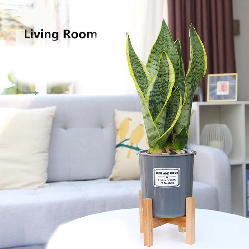 Planta de maceta de madera para flores de madera pantalla maceta Rack casa moderna decoración para sala de estar SDF-SHIP