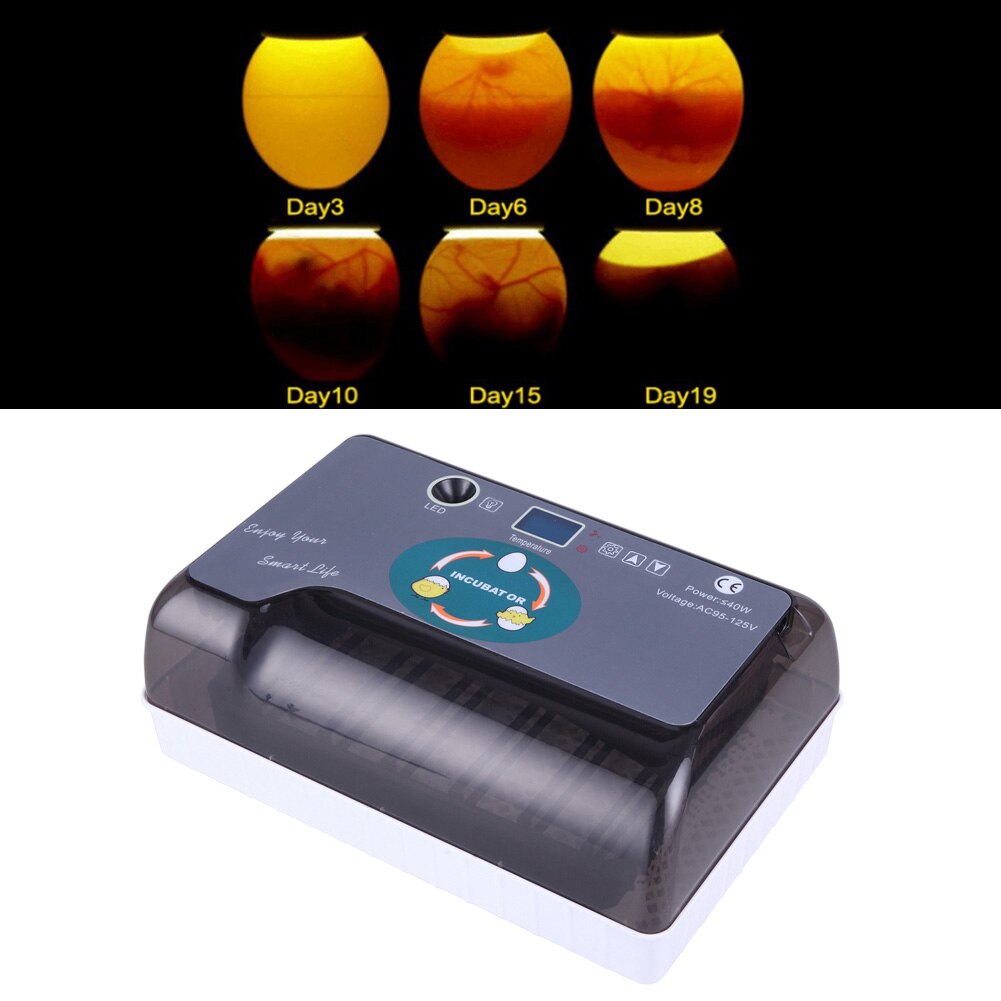 12 Automatic Egg Incubator Brooder Farm Hatchery Machine Poultry Chicken Bird Quail Brooder Machine Livestock Breeding Equipment