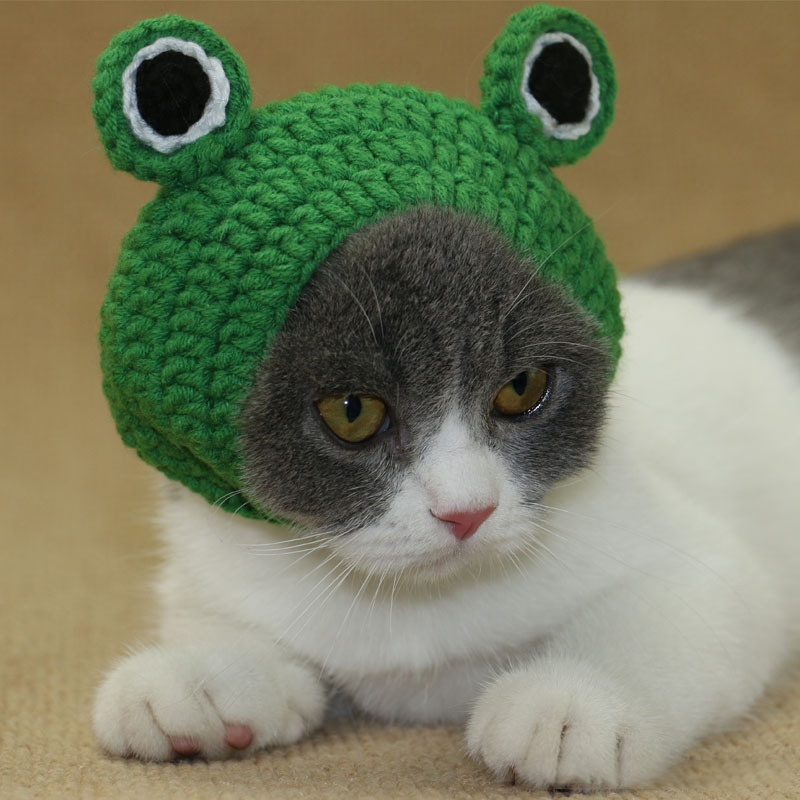 Chapeau tricoté à la main pour animaux de compagnie, chapeau pour chien, chat, grenouille, joli , accessoires pour petits animaux de compagnie