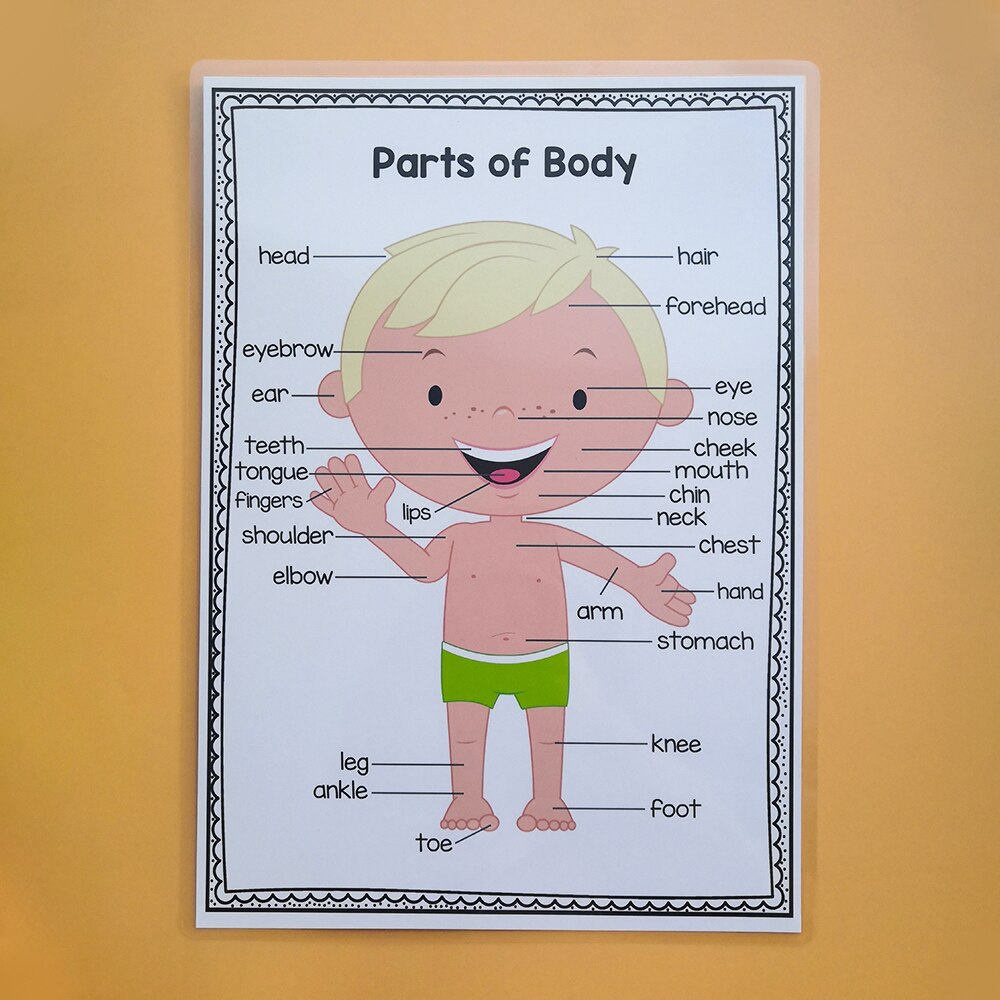 Engelse zelfintroductieposter engelse leshulpmiddelen klasdecoratie educatief speelgoed leerkaart speelgoed voor kinderen