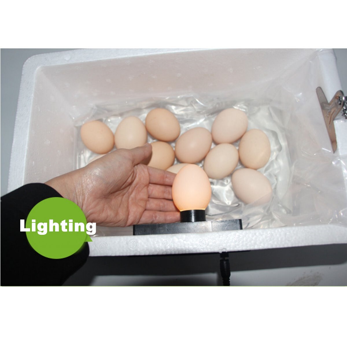 22 Position Automatic Digital Family Eggs Incubator Chicken Poultry Hatcher Home Foam Waterbed Incubator Farm Incubation Tools