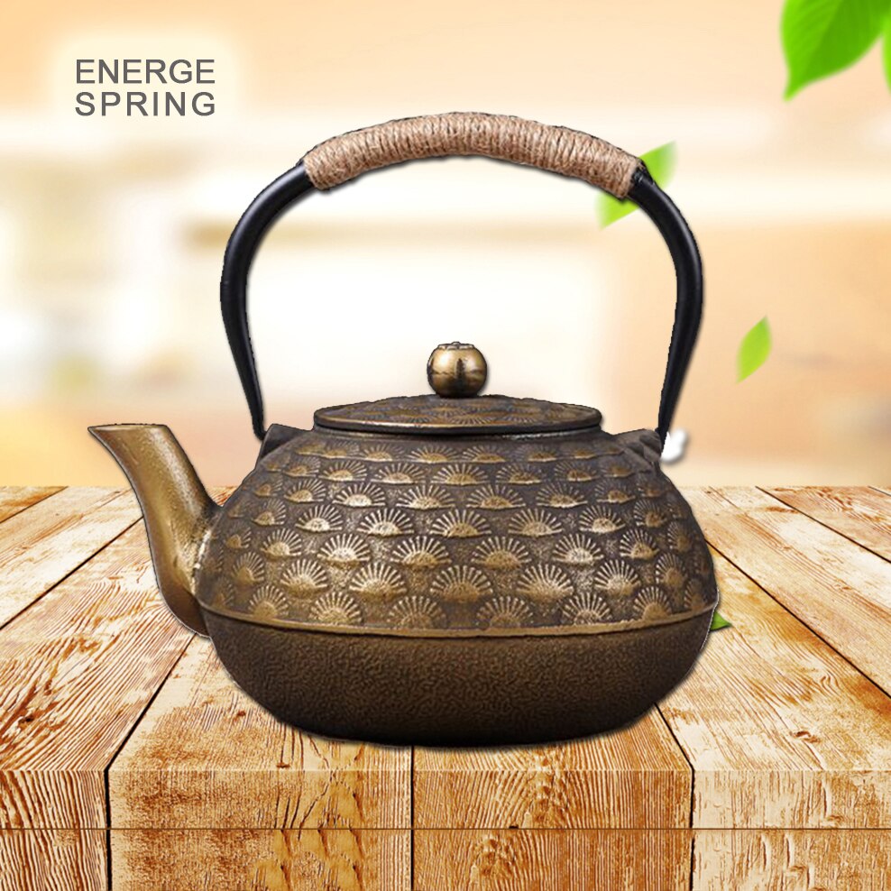 Théière Japonaise Ancienne en Fonte 1.3L en livraison gratuite | Économisez 30% sur votre commande