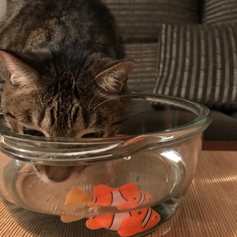 MPK Vibrierende Katze Spielzeug Batterie-angetrieben Fisch, Katze Spielen Spielzeug Katze Fisch Clown Angelfish Viele Farben Erhältlich