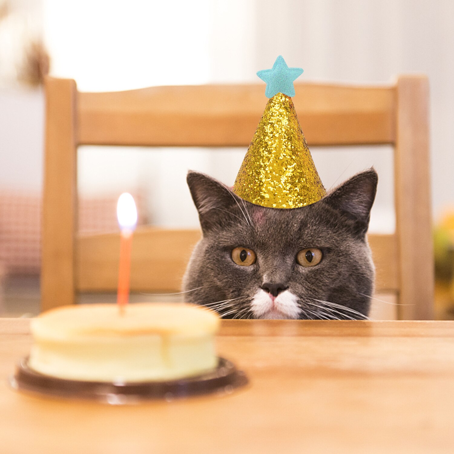 2PCS Pet Birthday Hats Glitter Star Decor Cat Hat DIY Party Costume Hats Pet Supplies Adjustable Hat Pet Birthday Party Decor