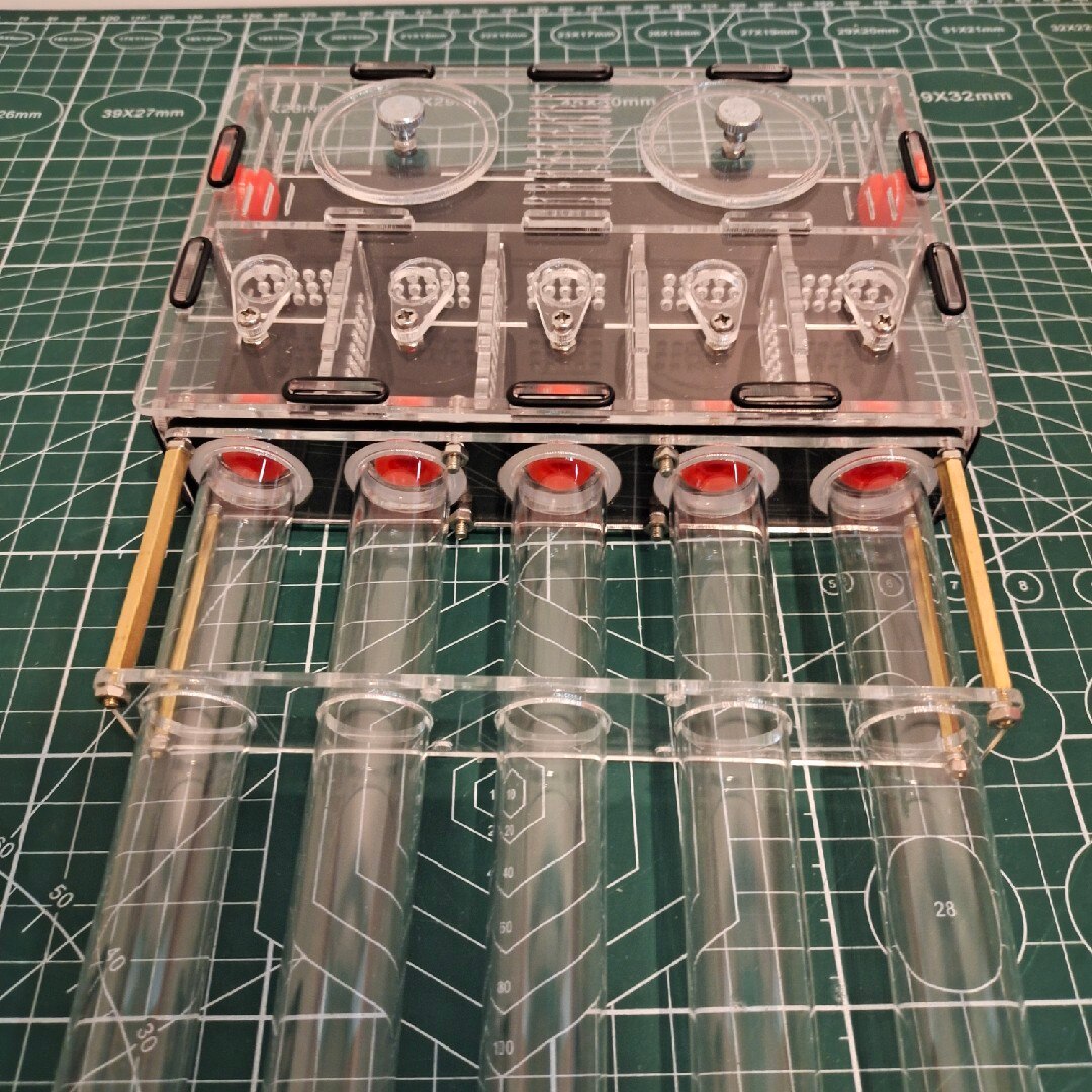 Infinite expansion Queen ant house,ant farm ant nest for queen laying egg