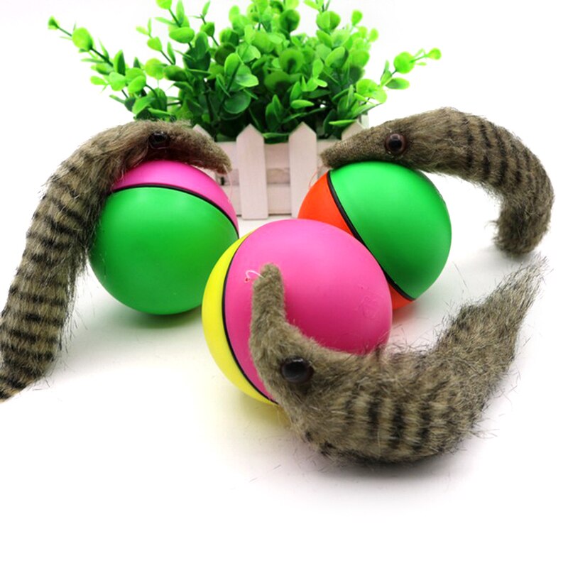 Comadreja eléctrica de Castor para mascotas, juguetes para gatos y perros, comadreja de juguete eléctrica, pelota rodante de Castor para perros y gatos, Juguetes Divertidos y móviles: Default Title