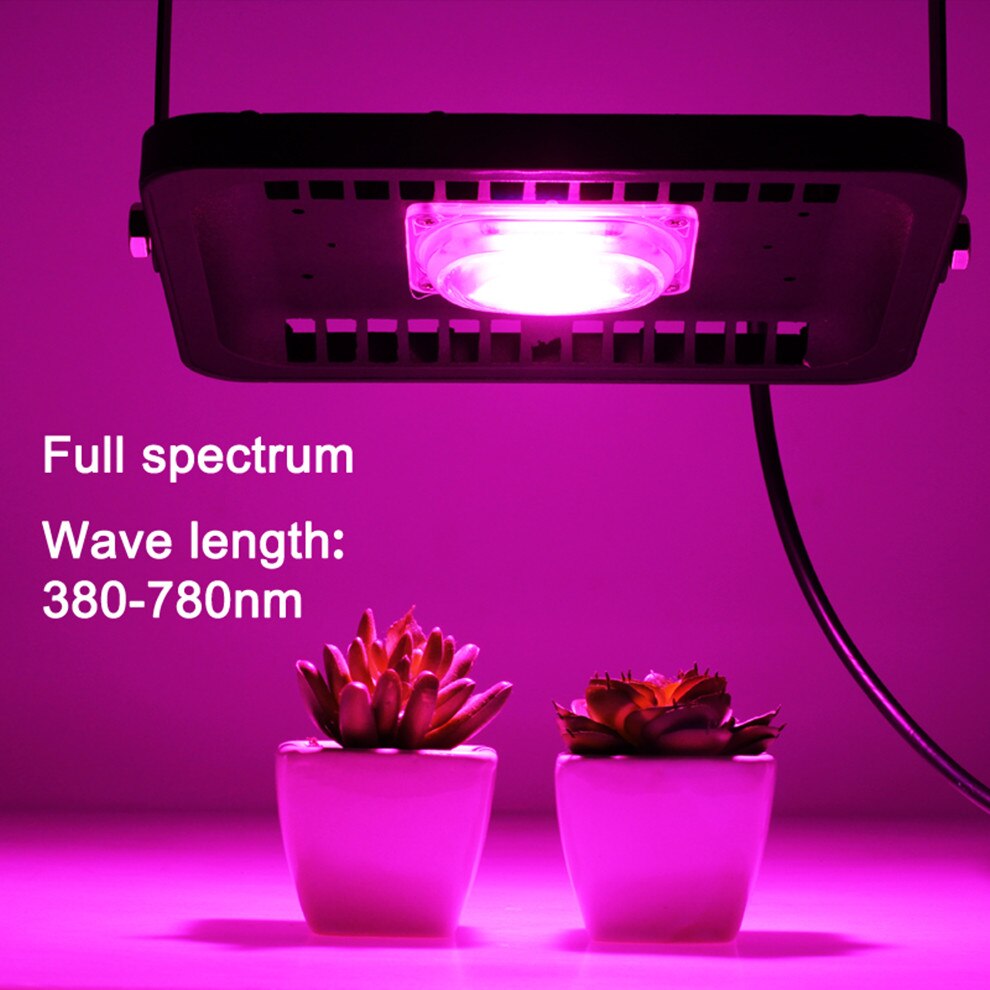 Høy effekt kolbe ledet vokse flom lys/ ledet chip 20w 30w 50w 100w ac220v ip65 vanntett fullspekter 380-780nm til såplante