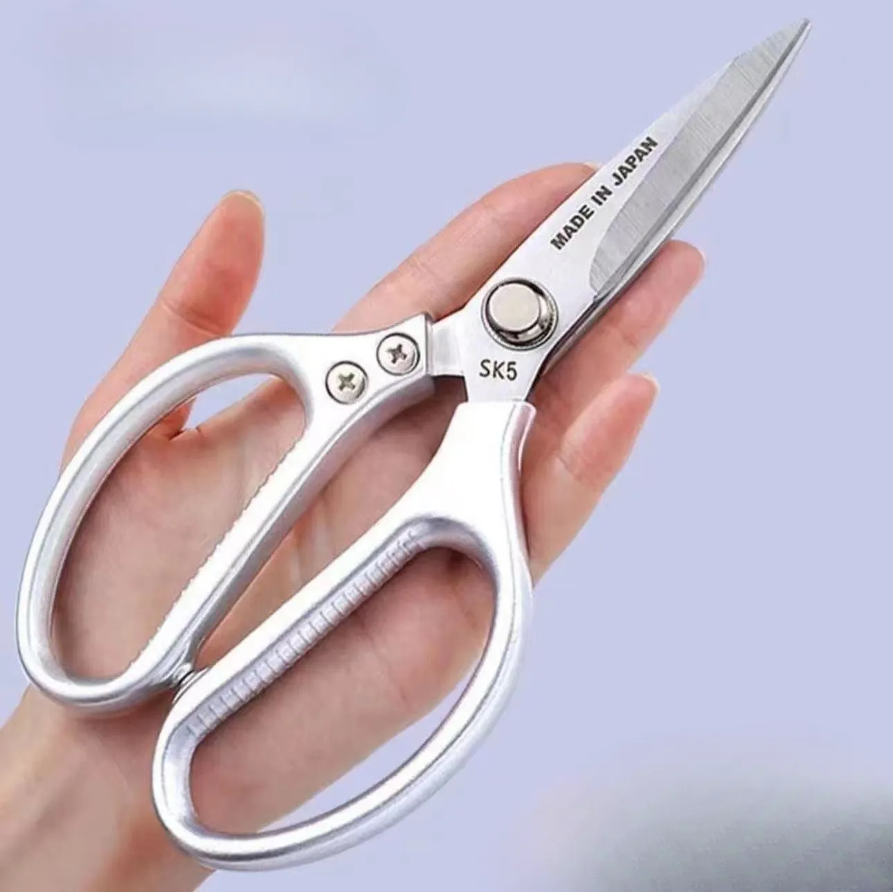 8.5-inch stainless steel scissors with plastic handles，Screws are made of iron