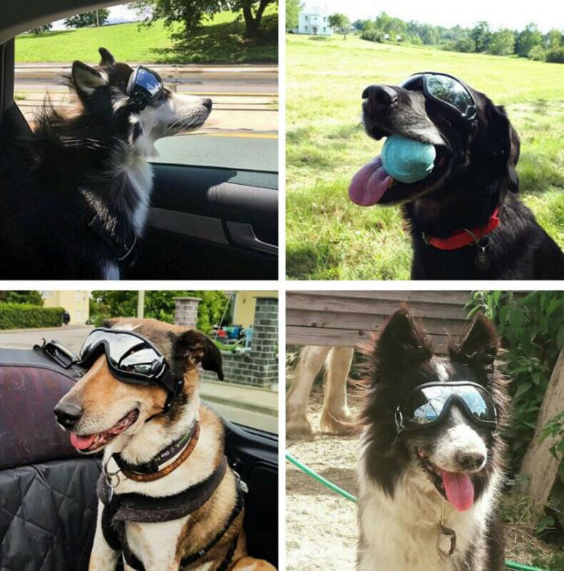 Justerbare kæledyrs hundebriller solbriller anti-uv solbriller øjenbeskyttelse beskyttelse vandtæt solbriller kæledyrsforsyning