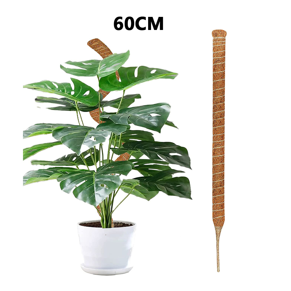 Postes de plantas flexibles DIY para plantas, palos Monstera, soporte para entrenar en interiores, para crecer hacia arriba, estacas hechas a mano para escalar: Beige
