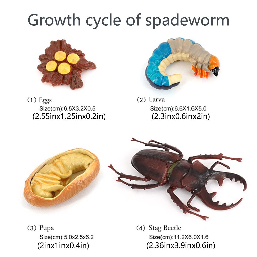 1 set spatenwurm-modell aus simuliertem kunststoff, detailgetreue insektenfiguren, interessante, naturbezogene wachstumsmodelle