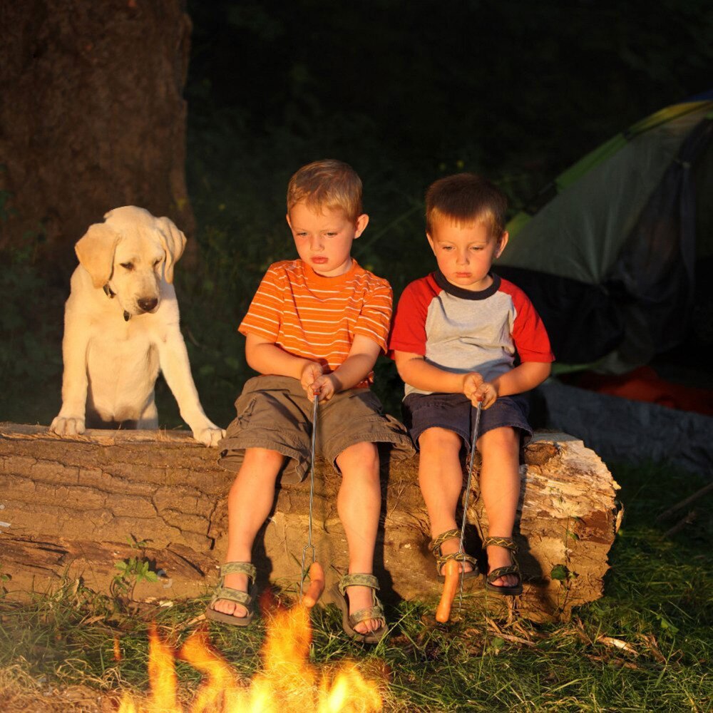 Veiliger 1 Pc Roosteren Vork Stok Roestvrij Staal Houten Handvat Telescopische Spies Als Grillen Gereedschap Voor Thuis, Keuken, achtertuin Bbq