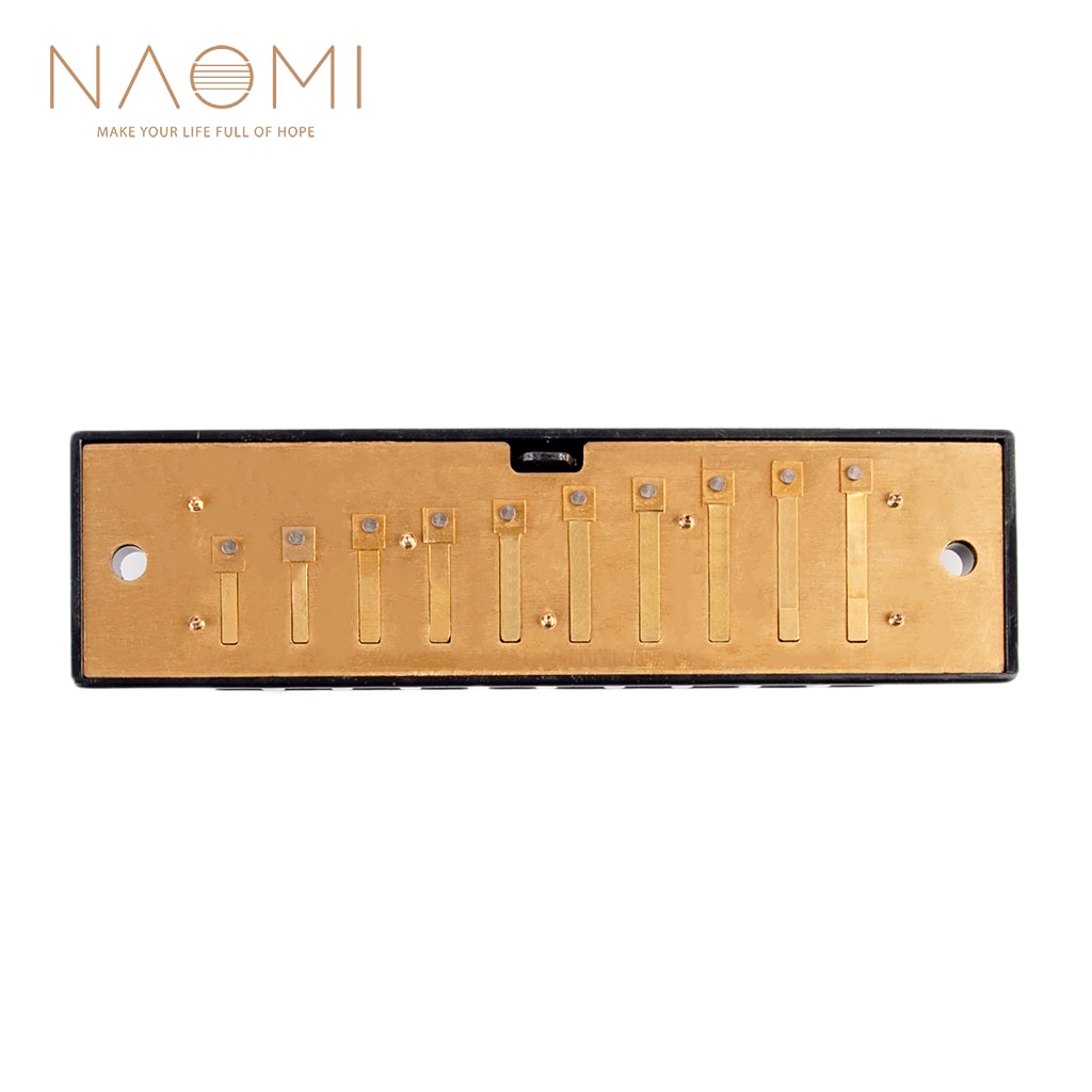 Naomi 10 Holes Harmonica Reed Replacement Reed Plates Key Of C Brass Reed Unfinished Harmonica Comb Woodwind Instrument Parts