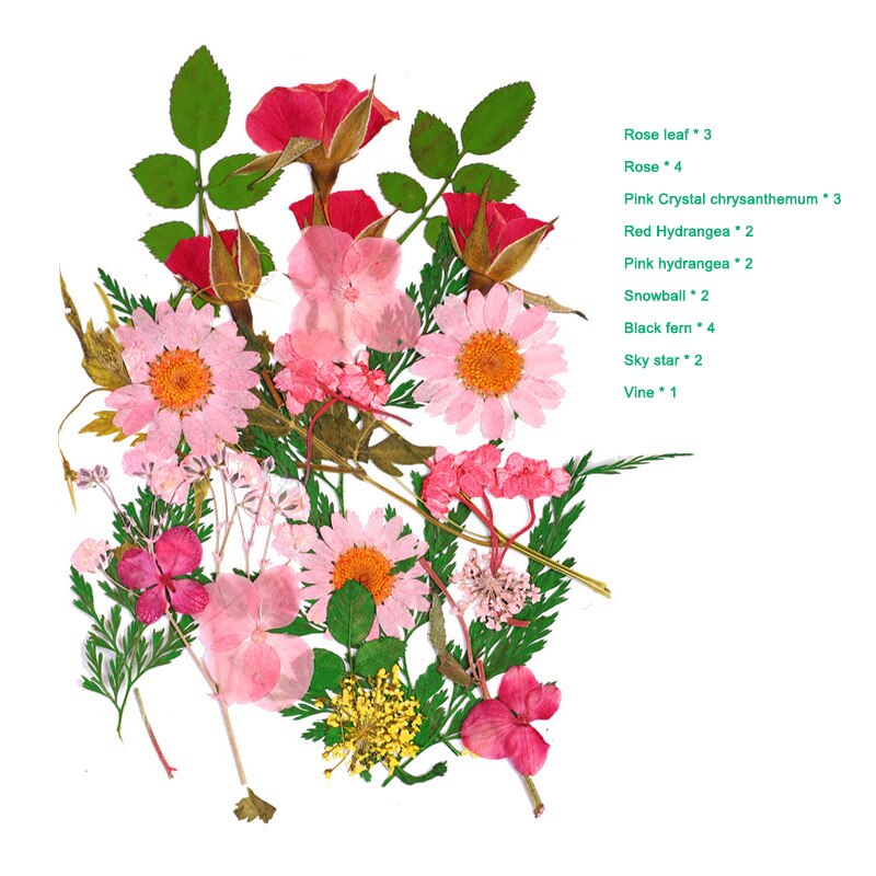 Bra hälsosam pressad blomma blandade torkade blommor gör-det-själv konst blomdekor samling hantverk gör-det-själv: A 8