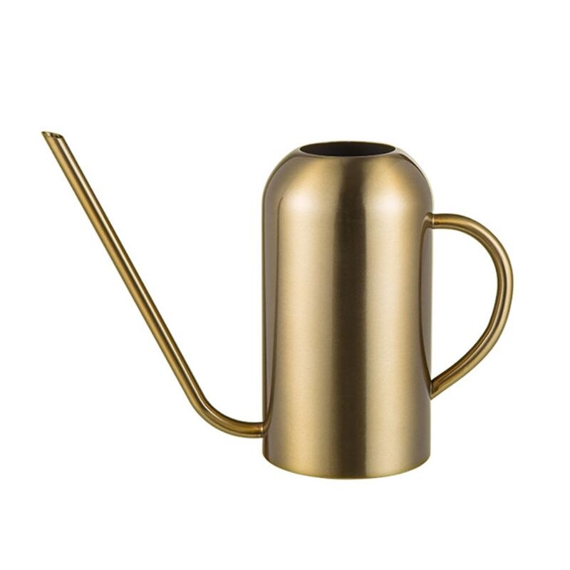 Stainless Steel Watering Can with Long Spout Modern Style Watering Pot,53oz/1.5L 667A: 8YY802135-GD