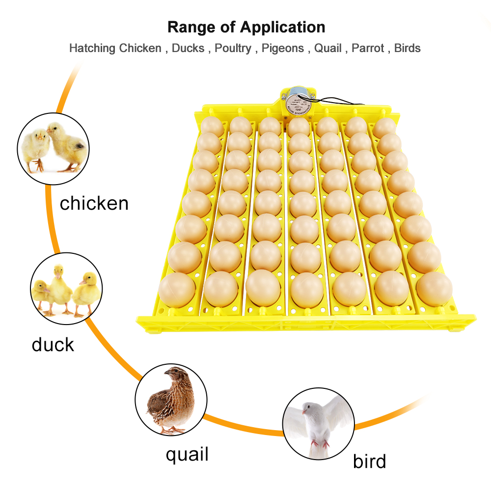 Ei Inkubator Automatische 56 Eier Für Ente Huhn Eier Schlüpfen Maschine 220V 12V Inkubator Schalen mit Auto Drehen Motor-