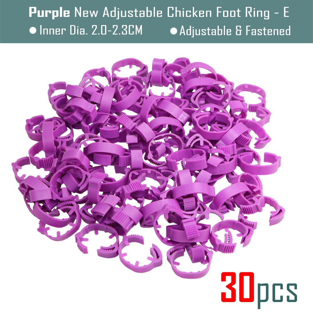 30Pcs Blank Kip Voet Ring 7 Kleuren Verstelbare Digitale Etiketten Voor Pluimvee Been Farm Identificatie Markers Tool Voor Chick eend: E-Purplex30pcs