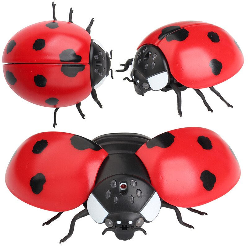[Divertente] giocattoli di trucco telecomando animale portato luce IR RC insetti scarabei coccinella animale domestico elettronico robot modello scherzo giocattolo scherzo giocattolo