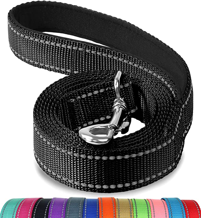 Reflective Nylon Dog Leash with Padded Handle Dogs Leashes for Walking Training Lead for Medium Large Dogs Pet Supplies: 120 x 2.5 cm