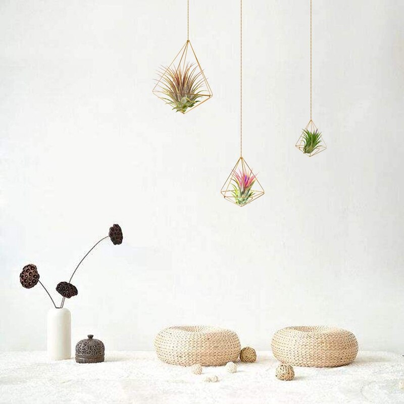 Lot De 4 Supports Plantes Aériennes Happyyami - Panier Géométrique Suspendu Pour Tillandsia - Décoration Jardin
