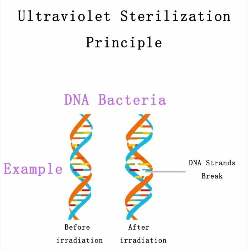 Family Handheld Portable UVC Sterilizer Lamp Germicidal Light Ultraviolet LED Light Disinfection Lamp