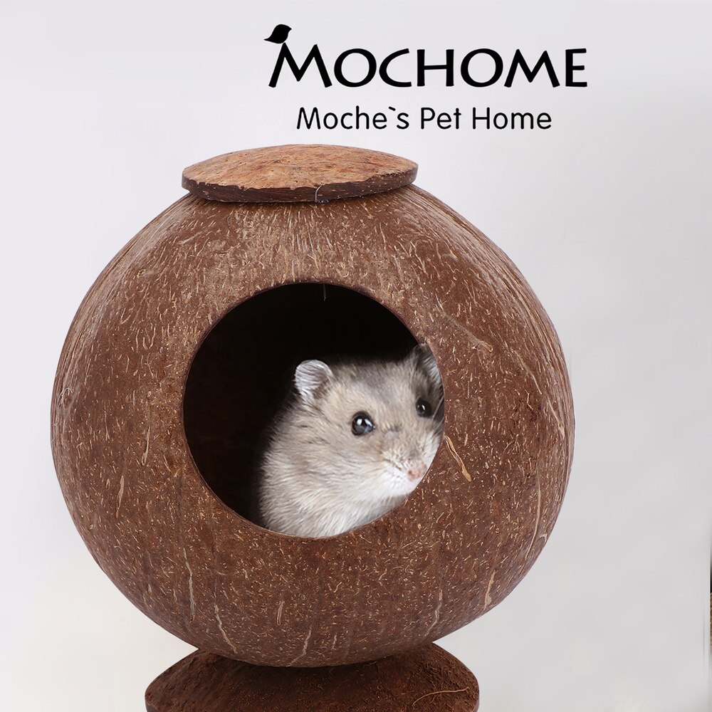 Polished Coconut Shell Nest Pet Bird Nest Hamster Squirrel Breeding Nest Crafts Beautiful Bird House with Base Desktop Guinea Pi