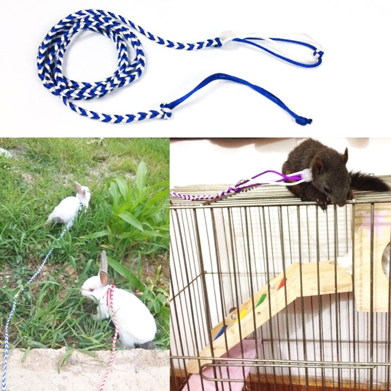 2,0 M largo ajustable hámster arnés cuerda jerbo de algodón cuerda arnés Collar de guiar por rata ratón mascota hámster correa de jaula