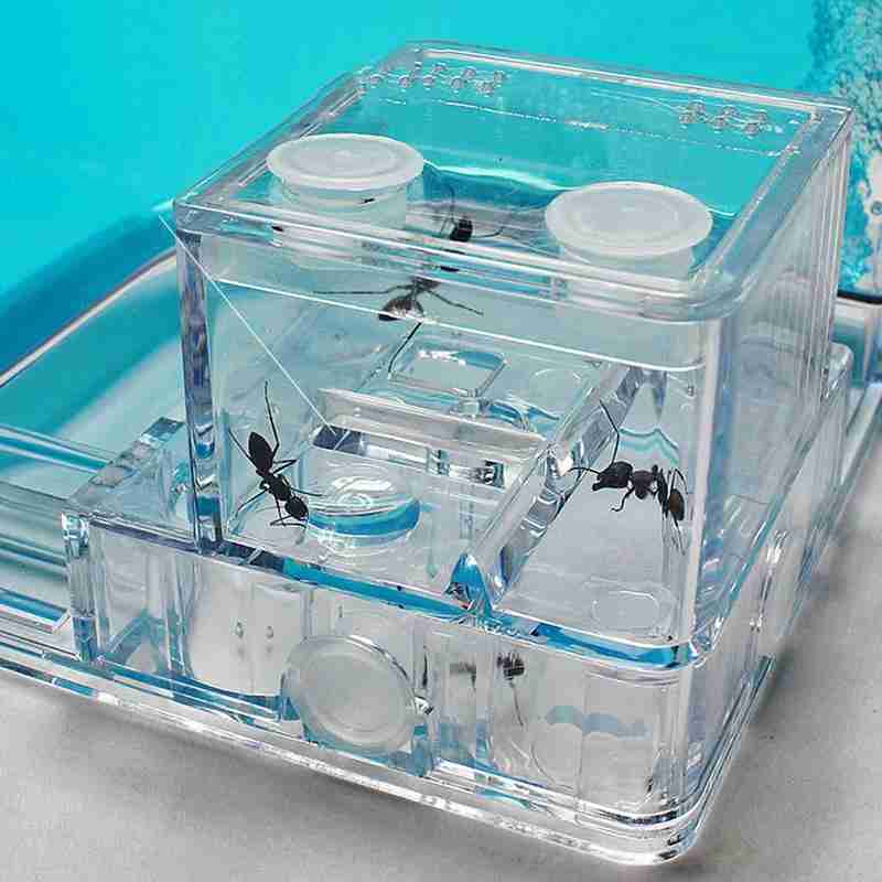 3D Ant Home Insect Nest Acrylic Farm House Work Educational DIY nests insect ant ant Feeding Formicarium villa nest H5B5