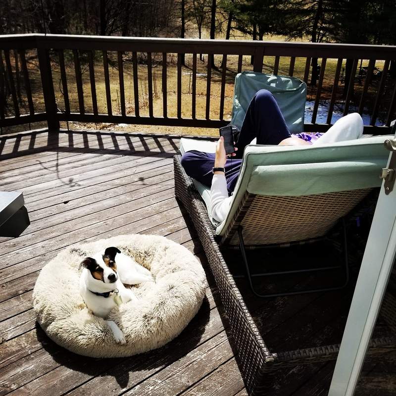 Afneembare ronde hondenmand donut knuffel rond kussen huisdiermand zelfverwarmende en gezellige huisdiermanden met rits en ondersteunende bodem