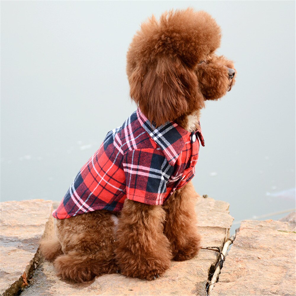 Oimg Samll Honden Kleding Klassieke Hond Blouse Zachte Katoen Huisdier Plaid Shirts Tops Lente Herfst Pug Teddy Teckel Huisdier Kleding: Red / XL