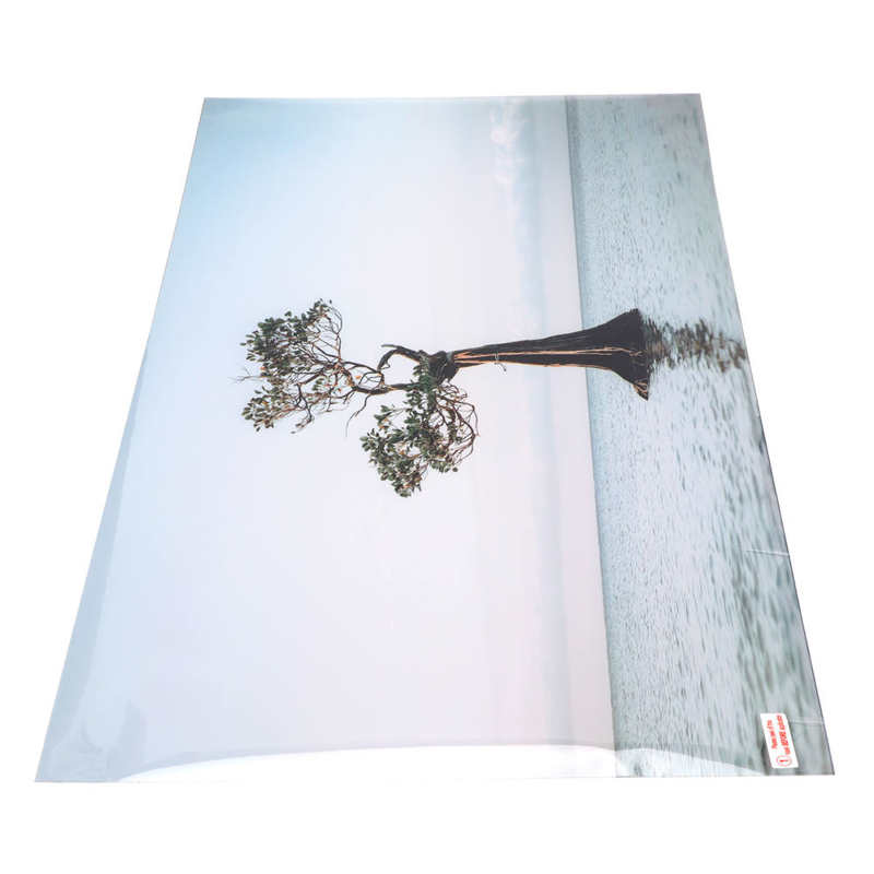 Self Adhesive Fish Tank Wallpaper Aquarium Background Poster Easy To Attach for Tank