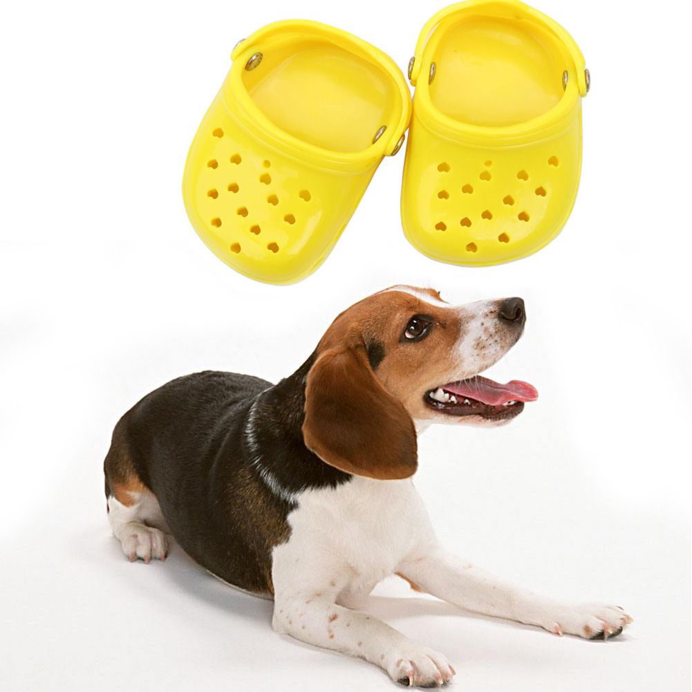 Chaussures d&#39;été pour chien, pantoufles ajourées, tongs de plage décontractées, respirantes, à enfiler, sandales pour petit chien