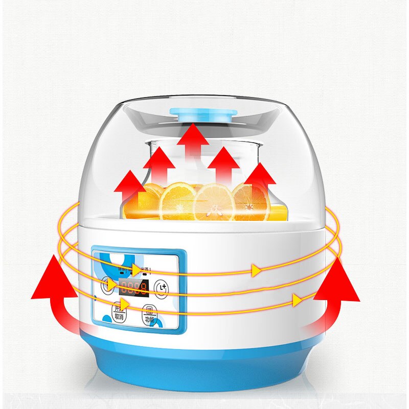 ZCWS04 Enzym Machine Yoghurt Machine Thuis Automatische Grote