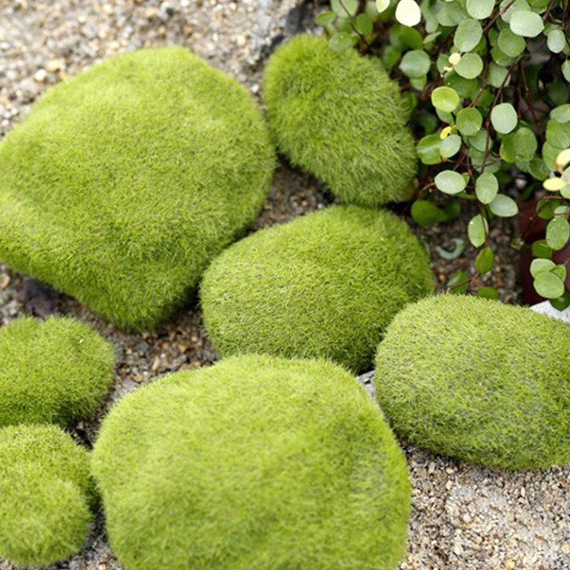 Best Sellers: Best Aquarium Décor Plastic Plants